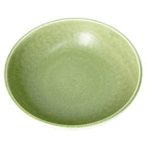 Flat Bowl Nejiri Green