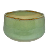 Matcha Bowl Wakaba