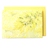 Greeting Card Mimosa