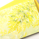 Greeting Card Mimosa