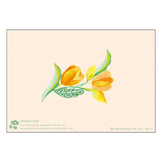 Greeting Card Thank You Bouquet