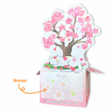 Box Greeting Card Ohanami Shiba