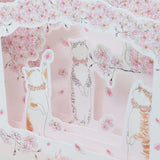Box Greeting Card Spring has Come!